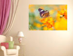 4 Decor Summer Vibe