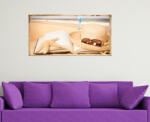 4 Decor Pe plaja la soare