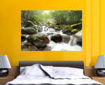 4 Decor Fast Stream in the Forest