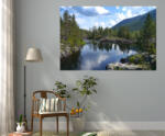 4 Decor Beautiful Forest Stream