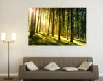 4 Decor Sunset Forest