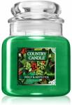 The Country Candle Company Holly & Mistletoe lumânare parfumată 453 g