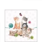 Ambiente Playing Kitten papírszalvéta 25x25cm, 20db-os