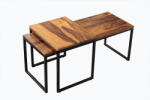Invicta interior Set 2 masute Elements cu blat din lemn de sheesham si picioare din metal (41069) Masa de cafea