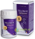 DVR Pharm Telom-R Nefroprotect 120cps