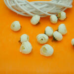  Boglárka fej - kicsi