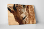 4 Decor Tablou canvas : Girafa - beestick-deco - 104,00 RON