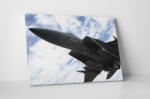 4 Decor Tablou canvas : Avion de vanatoare - beestick-deco - 174,00 RON