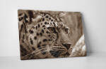 4 Decor Tablou canvas : Pantera - beestick-deco - 69,00 RON