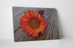 4 Decor Tablou canvas : O gerbera - beestick-deco - 174,00 RON