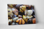 4 Decor Tablou canvas : Scoici colorate - beestick-deco - 174,00 RON