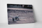 4 Decor Tablou canvas : Mini avion de razboi - beestick-deco - 174,00 RON
