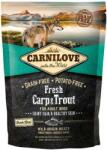 CARNILOVE Fresh Carp & Trout Shiny Hair and Healthy Skin (2 x 12 kg) 24 kg