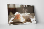 4 Decor Tablou canvas : Inspiratie - beestick-deco - 69,00 RON