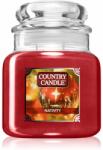 The Country Candle Company Nativity lumânare parfumată 453 g
