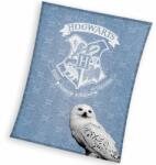 Carbotex Harry Potter: Pătură polar cu model Hedwig - 130 x 170 cm (HP221049 KOC) Patura