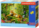 Castorland B-27569 - Őfelsége a tigris - 260 db-os puzzle (B-27569)