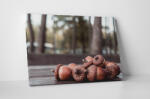 4 Decor Tablou canvas : Ghinde - beestick-deco - 69,00 RON