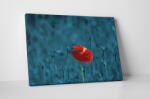 4 Decor Tablou canvas : Floare speciala - beestick-deco - 174,00 RON