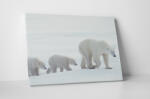 4 Decor Tablou canvas : Familie de ursi polari - beestick-deco - 174,00 RON