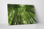 4 Decor Tablou canvas : Intre copaci inalti - beestick-deco - 174,00 RON