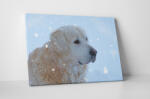 4 Decor Tablou canvas : Golden retrieve - beestick-deco - 69,00 RON