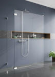 Radaway Euphoria Walk-in VI zuhanyfal 100x100 átlátszó (6017)