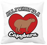 printfashion All I want is a capybara - Párnahuzat, Díszpárnahuzat - Fehér (12747795)