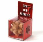 Recent Toys Mennyire vagy okos? logikai játék (RT5125-4) - reflexshop