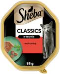 Sheba Classics 85 g nedves teljes értékű eledel felnőtt macskáknak marhahússal terrine-ben