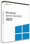 Microsoft Windows Server 2022 Std (P73-08331)