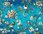 Zuty Pictură pe numere Două păsări așezate (1394231) Carte de colorat