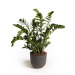 Plastecnic Ghiveci Leaf Mood (P1-710768-30-41)