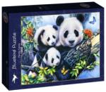 Bluebird Puzzle 1000 db-os puzzle - Panda Family (90154) (90154)