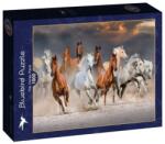 Bluebird Puzzle 1000 db-os puzzle - The Horse Race (90283) (90283)