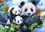 Bluebird Puzzle 90154 - Panda Family - 1000 db-os puzzle