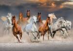 Bluebird Puzzle 90283 - The Horse Race - 1000 db-os puzzle (90283)