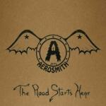 Aerosmith - 1971: The Road Starts Hear (LP) (0602438308026)