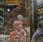 Iron Maiden - Somewhere In Time (Limited Edition) (LP) (825646248544)