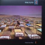Pink Floyd - A Momentary Lapse Of Reason (2011 Remastered) (LP) (190295996949)