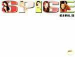 Spice Girls - Spice (LP) (0602547853257)