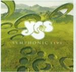 Yes - Symphonic Live-Live in Amsterdam 2001 (2 LP) (4029759134039)