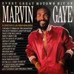 Marvin Gaye Every Great Motown Hit Of Marvin Gaye: 15 Spectacular Performances (LP) (602508498701)