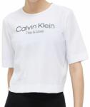 Calvin Klein Tricouri dame "Calvin Klein WO SS T-shirt (Boxy) - bright white