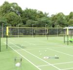 vidaXL Plasă de badminton, galben și negru, 600x155 cm, țesătură PE (93745)