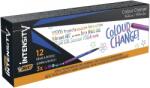 BIC Fineliner Intensity Color Change 12 buc/set Bic 503840 (503840)