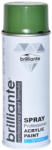 BRILLIANTE Vopsea Spray Verde Reseda (Ral 6011) 400 Ml Brilliante