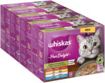 Whiskas Whiskas Megapack 1+ Adult Pliculețe 48 x 85 g / 100 - Pure Delight Ragout mixt în gelatină