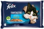 FELIX Fantastic - Selecție de pește - somon și cambulă 12 x