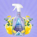 ASTONISH Препарат за почистване на прозорци и стъкла Евкалипт и лимон (а-6743)